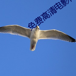 免费高清电影网 （秋後算账）