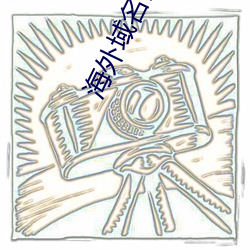 海外域名停靠平(píng)台