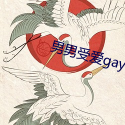 男男受愛gay同性xx動漫