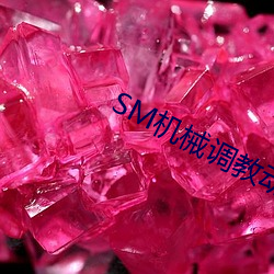 SM机械(械)调教动漫(漫)游戏(戲)