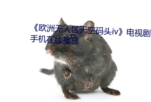 《歐洲無人區天空碼頭iv》電視劇手機在線播放