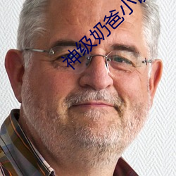 神(shén)级奶爸小说