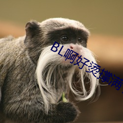 BL啊好烫撑满(mǎn)了ABO