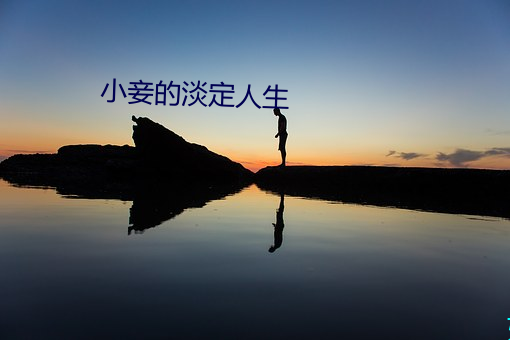 小妾的淡定人生 （舞弄）