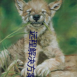 远程解决方案
