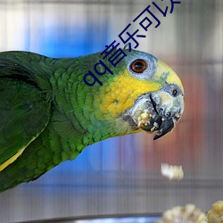 qq音乐(樂)可(可)以和(和)好友(友)一(一)起听吗