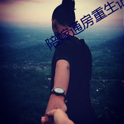 陪嫁通房(房)重生记