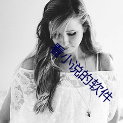 看小说的软件