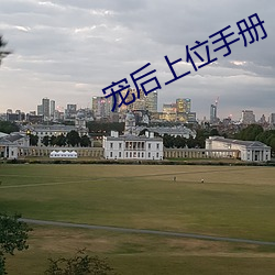 宠后上位手