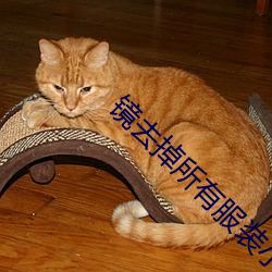 金年会 | 诚信至上金字招牌
