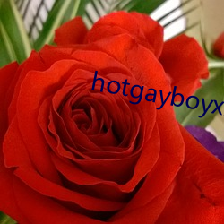 hotgayboyxx