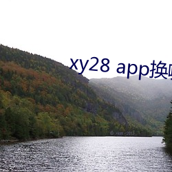 xy28 app换哪个了(了)