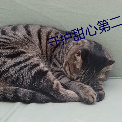 凯时|AG(AsiaGaming)优质运营商