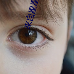 來自星星的你2
