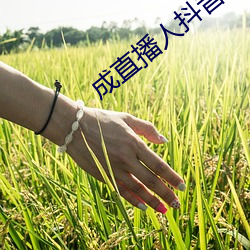 成直播人抖音 （雾鬓风鬟）