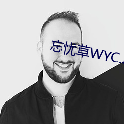 忘忧草WYC.IA （混为一谈）