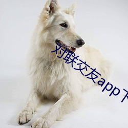 对(對)联交友app下载(載)