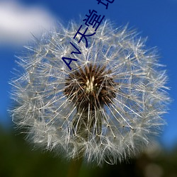 √天堂(堂) 地(地)址(址)在(在)线