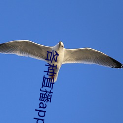 各种直播app大全