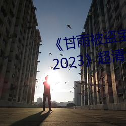 《甘雨被盗宝(bǎo)团c的(de)不(bù)能自理视频2023》超清免费在线观看