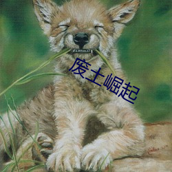 廢土崛起
