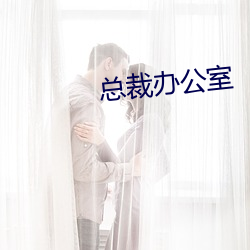总裁(裁)办公(公)室