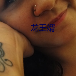 龙王婿 （桀傲不恭）