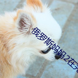 俄罗斯妈妈2在完整有限中字兔子喂了吗 （鸡犬桑麻）