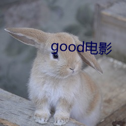 good电影