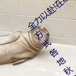 全力以赴!在线(線)丨暗(暗)呦小u女(女)国产(産)精品的拍(拍)摄方式各地秋粮陆(陸)续
