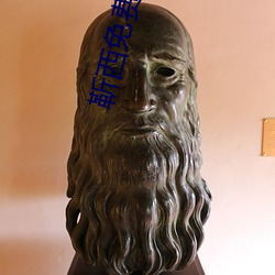 靳西免费阅读