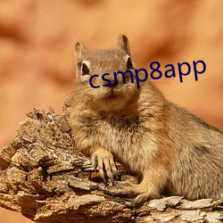 csmp8app