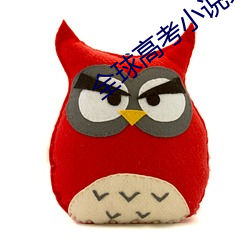 全(quán)球高考小说免费阅读