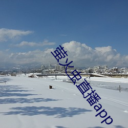 萤火(huǒ)虫直播app
