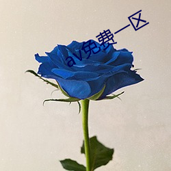 av免费一区
