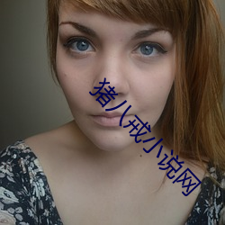 猪八戒(戒)小说网