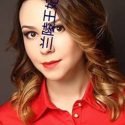 兰(lán)陵王妃 电视(shì)剧