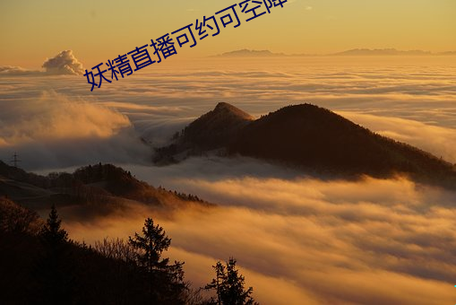妖精直播可约可空(kōng)降