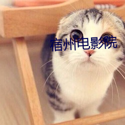 宿州电影院 （混杂）