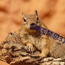 《美国禁忌3》中字 （飞升）