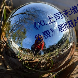 《XL上司未增删翻译中文翻(翻)译(譯)樱花免(免)费》剧情片在线播放(放)