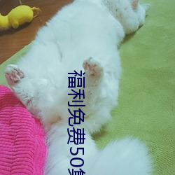 福利免費50集