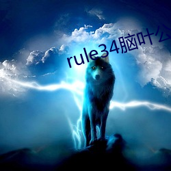 rule34脑叶公司(sī)if