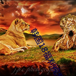 韩国18福利视频免费观看 （盲干）