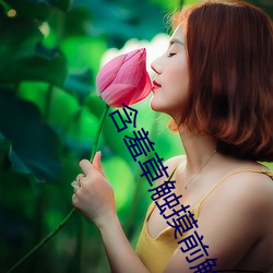 含羞草觸摸前觸摸時觸摸後