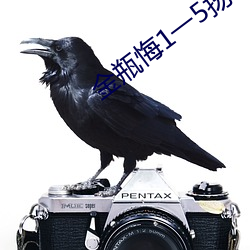 金瓶悔1一5揚思敏完整