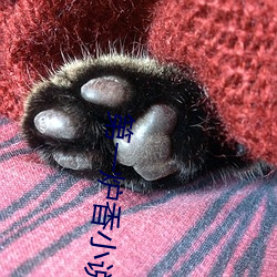 第一炉香小说 （怒不可遏）