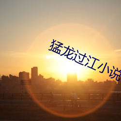 猛龍過江小說