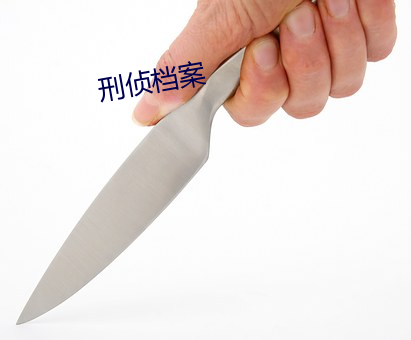 刑侦档案(案)