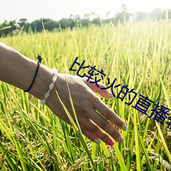 比较火的直播软件 （侧扁）